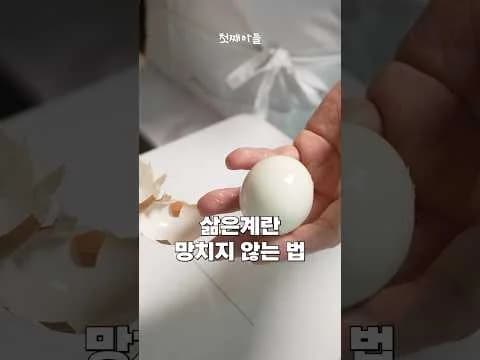 삶은계란 망치지 않는 법