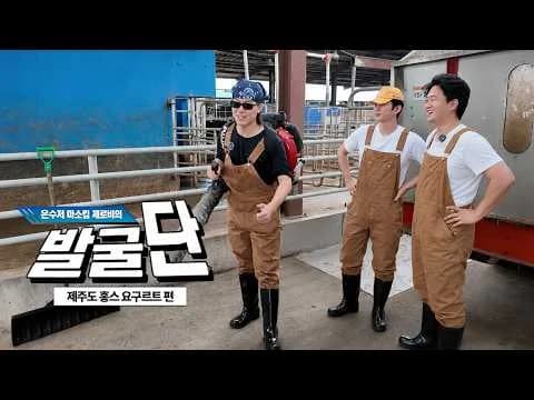 홍스 요구르트